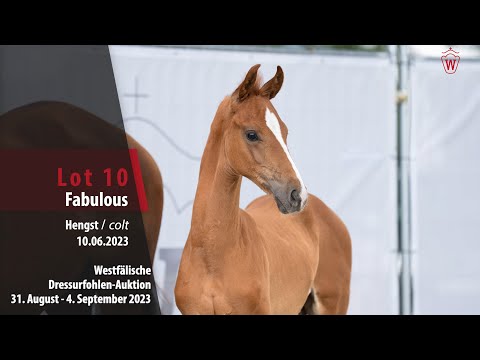 Dressurfohlen-Auktion Lot 10 Fabulous Hengst v. Fanegro - Dancier