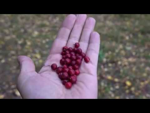 Beautiful place and beautiful house