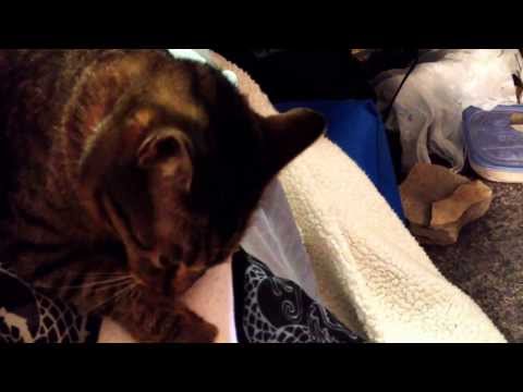 Razzmatazz has a Foot Fetish