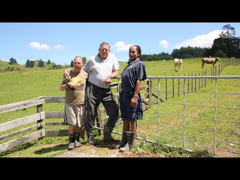 IHC Calf and Rural Scheme Colin Meads