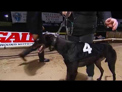 RPGTV STEEL CITY CUP - 3RD SEMI - T4  LIGHTFOOT KING