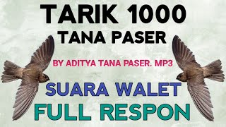 Download lagu TARIK 1000 BY H.ADITYA TANA PASER MP3 | SUARA PANGGIL WALET FULL RESPON mp3 Download lagu TARIK 1000 BY H.ADITYA TANA PASER MP3 | SUARA PANGGIL WALET FULL RESPON mp3
