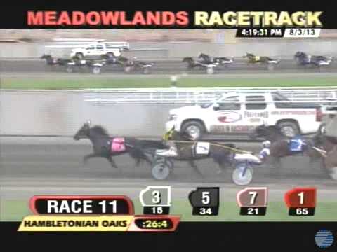 Bee A Magician - 2013 Hambletonian Oaks
