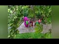 Barney Song Way Up In A Tree How Does Your Garden Grow