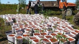 Сак ком долинск рыбалка