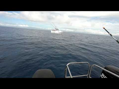 Epic weekend chasing Black marlin with the boys.