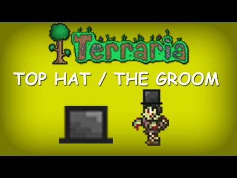 Top Hat Terraria