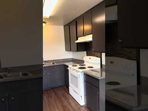 Oakdale Ave 1520 - 4 units - Video 4 of 4