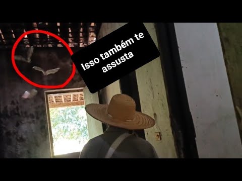 Atualização Fazenda Pedra Talhada/F.  Canto Escuro/ Casarão sentenaria/Maribondo-AL-BR