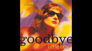 THE TRIFFIDS - Goodbye Little Boy
