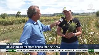 Miniatura do vídeo