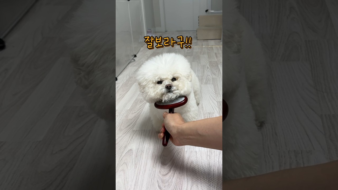 이건 빵지만 가능하다구!!