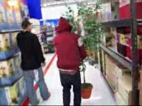 OLD SDK Random Extras - Craver Walmart