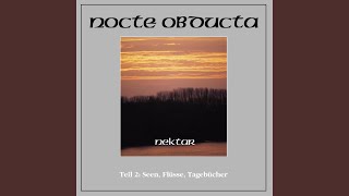 Und Pan spielt die Flöte (Desîhras Tagebuch Kapitel II)