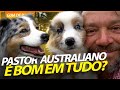 PASTOR AUSTRALIANO, UM CÃO COMPLETO! | RICHARD RASMUSSEN