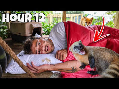 I Spent OVERNIGHT inside My EXOTIC ANIMAL Enclosure!! (crazy)