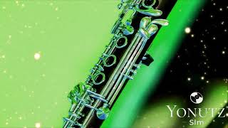 Download lagu Instrumentala Clarinet 1 💎 Kuchek Style 2023 @YonutzSlm mp3 Download lagu Instrumentala Clarinet 1 💎 Kuchek Style 2023 @YonutzSlm mp3