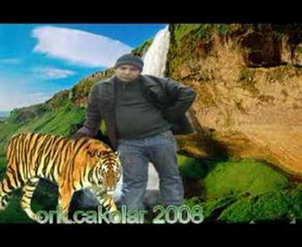 ork.cakolar 2008 apteka