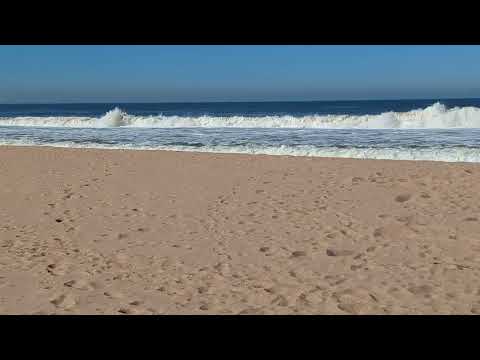 free surf ocean park maldonado Uruguay 26/08/25 RAW