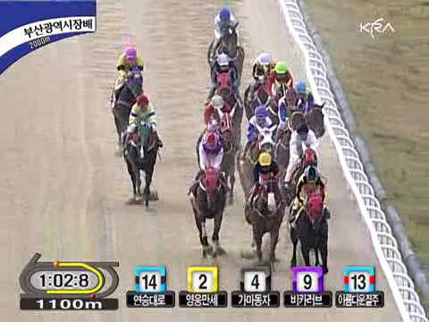 2009 Mayor of Busan Metropolitan City Cup (G3) - Bulpae Gisang