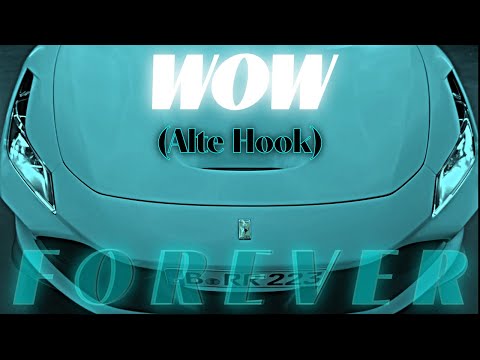 RAF CAMORA feat. BAUSA - WOW (Alte Hook)