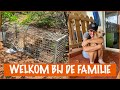 Het 2e straathondje ook gevangen! | DierenpraatTV