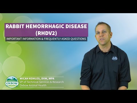 , title : 'Rabbit Hemorrhagic Disease (RHDV2) – Important Information and Frequently Asked Questions