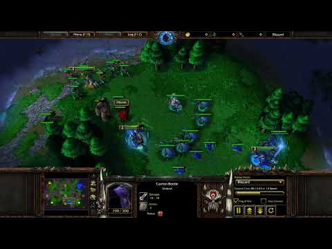 Warcraft III: The Ultimate Crypt Lord