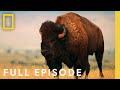 Badlands Full Episode America S National Parks