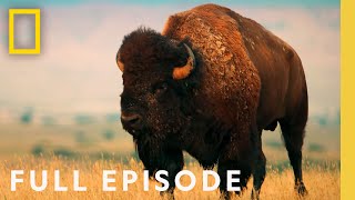 Badlands (Full Episode) | America's National Parks