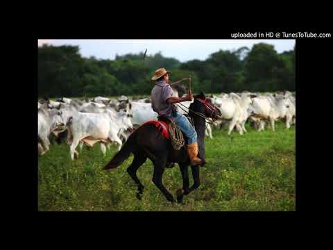 01  ASI SE TRABAJA LLANO