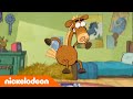 Hier is Pony | Een luid paard | Nickelodeon Nederlands
