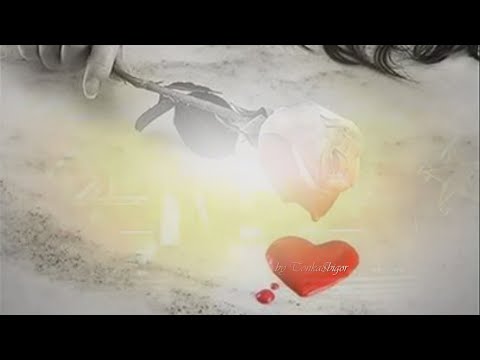 Roko Blažević i Jacques Houdek ~Tugo moja❣️