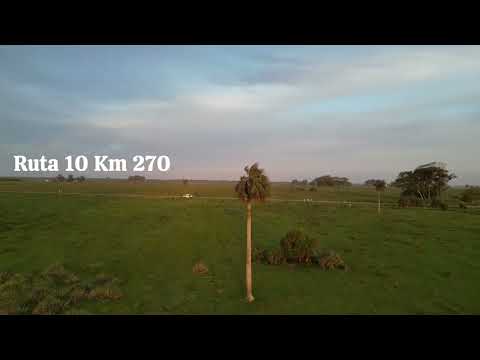 ♦Palmares de Rocha Ruta 10 km  270 ‐ Un recorrido entre los Palmares - octubre 11 #rocha #scarpelli