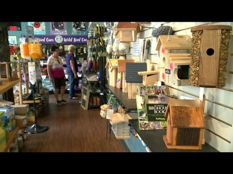 People flocking to bird watching with help of new 'bird boutique' in Greendale