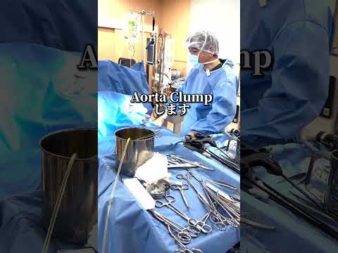 藍野大学　手術実践実習（人工心肺装置） #shorts #臨床工学技士 #手術