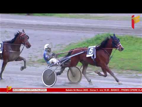 III Corsa del 4 Marzo 2023 - 3 Anni - Metri 1600 - Gara centrale