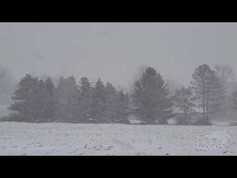 11-15-2021 Mayville, NY - Dangerous Roads As First Snow Squalls Impact Western New York State