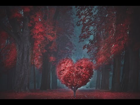 💘 Wunschpartner Liebesorakel 💘 Das Zwiegespräch 💘 Bist Du die/der Richtige? 💑