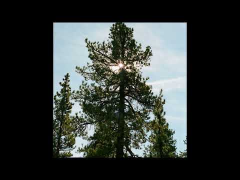 [FREE] guardin, sewerperson, hamilton type beat | "sectors"