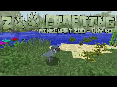 Discoveries at Collie Point!! 🐘 Zoo Crafting: Season 2 - Episode #40