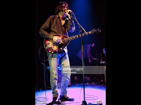 Government Beard - The Brian Jonestown Massacre
