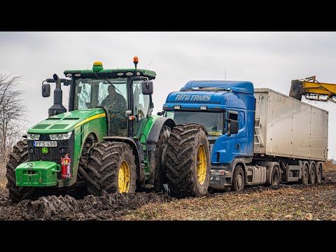 EXTREME Sugar Beet Transport "2025" Ropa EuroMaus 1, 4x John Deere I Cukorrépa hordás