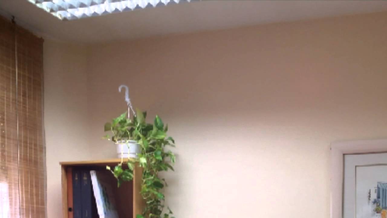 Mª Dolors Mas Delblanch-32