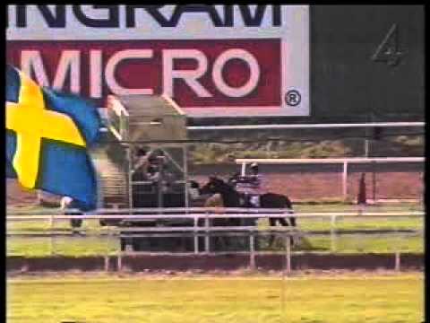 GALOPPSPELAREN - Stockholm Cup International 1998