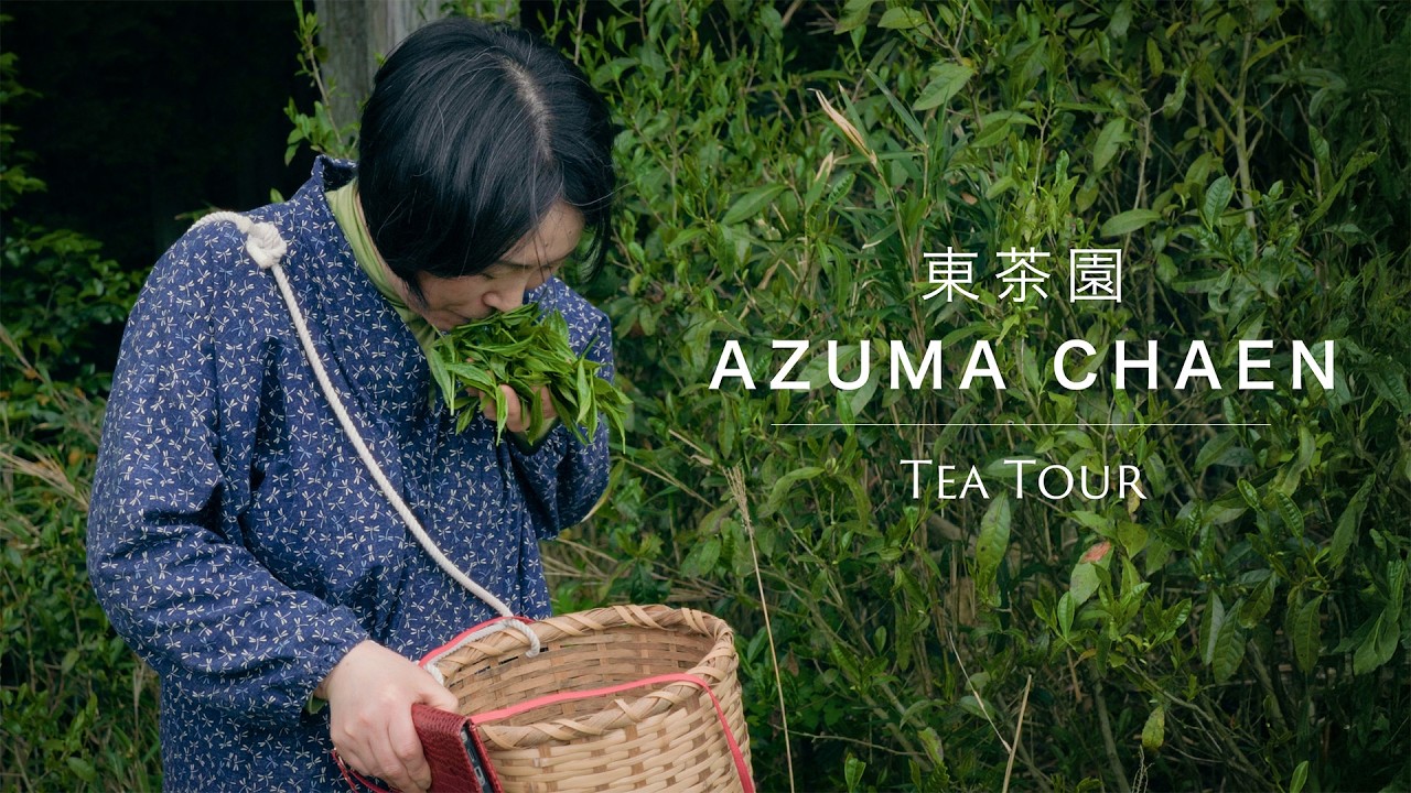 Lunar Tea Cultivation: A Breakthrough in Space Agriculture