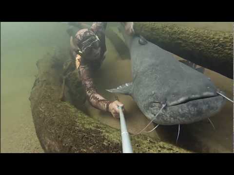 Le géant de la Loire