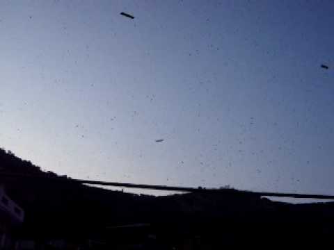 Gualtieri Sicaminò: lancio dei bigliettini dall'elicottero