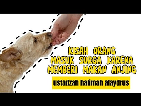 kisah orang masuk surga karena memberi makan anjing || ustadzah halimah alaydrus