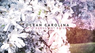 Ocean Carolina - If It Burns Out Bright (Official Video)